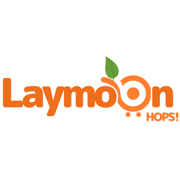 My Store